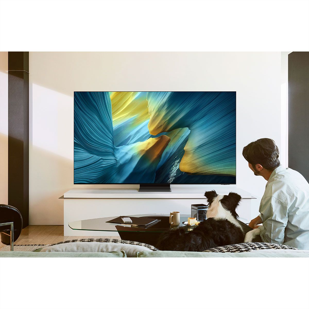Samsung TV 65" S95F Series