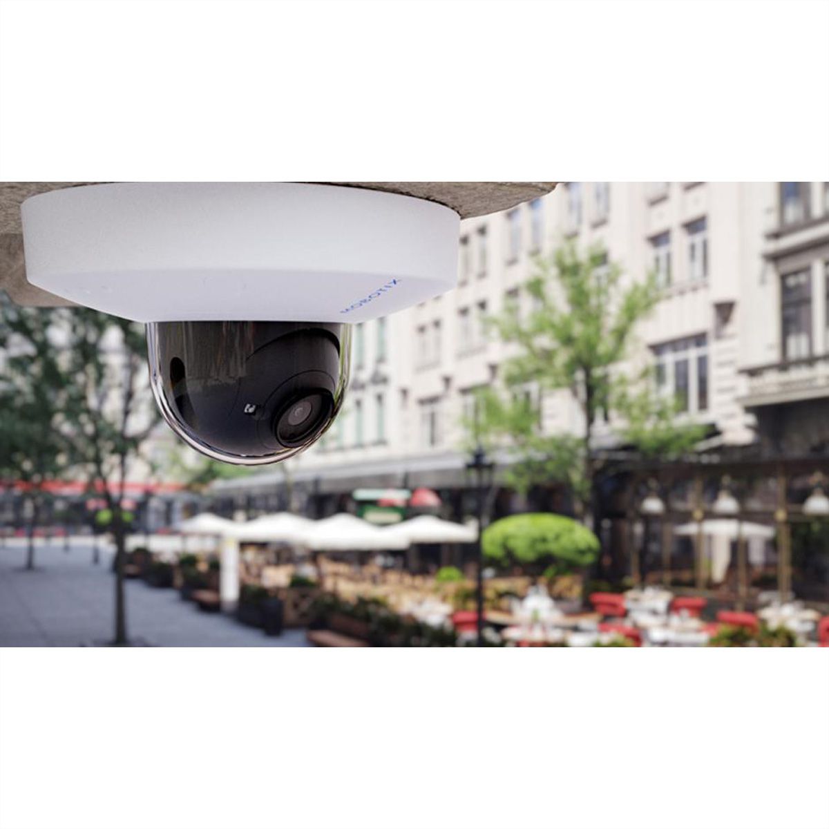MOBOTIX D71B Dome Kamera 8 MP, 95°, IR-LED 30m