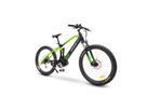 Argento E-Bike Performance PRO