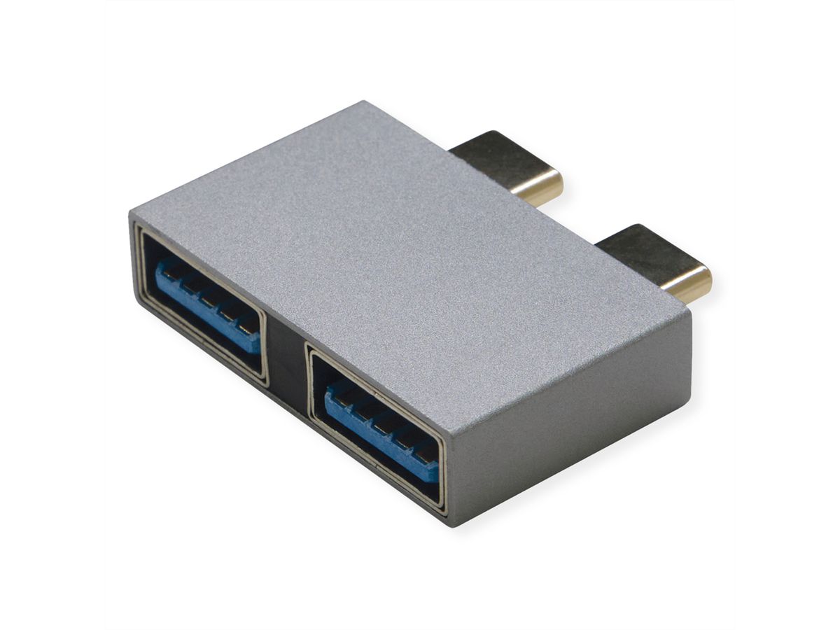 ROLINE Adaptateur USB 3.2 Gen 2, 2x USB Type C - 2x USB Type A,  M/F, argent