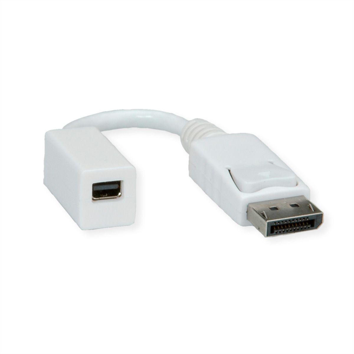 ROLINE Adaptateur DisplayPort, DP M-Mini DP F