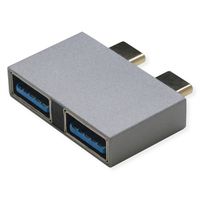 ROLINE Adaptateur USB 3.2 Gen 2, 2x USB Type C - 2x USB Type A,  M/F, argent