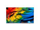 Philips Hotel TV 75HFL6214U/12, 75", UHD, 400cd/m², Netflix