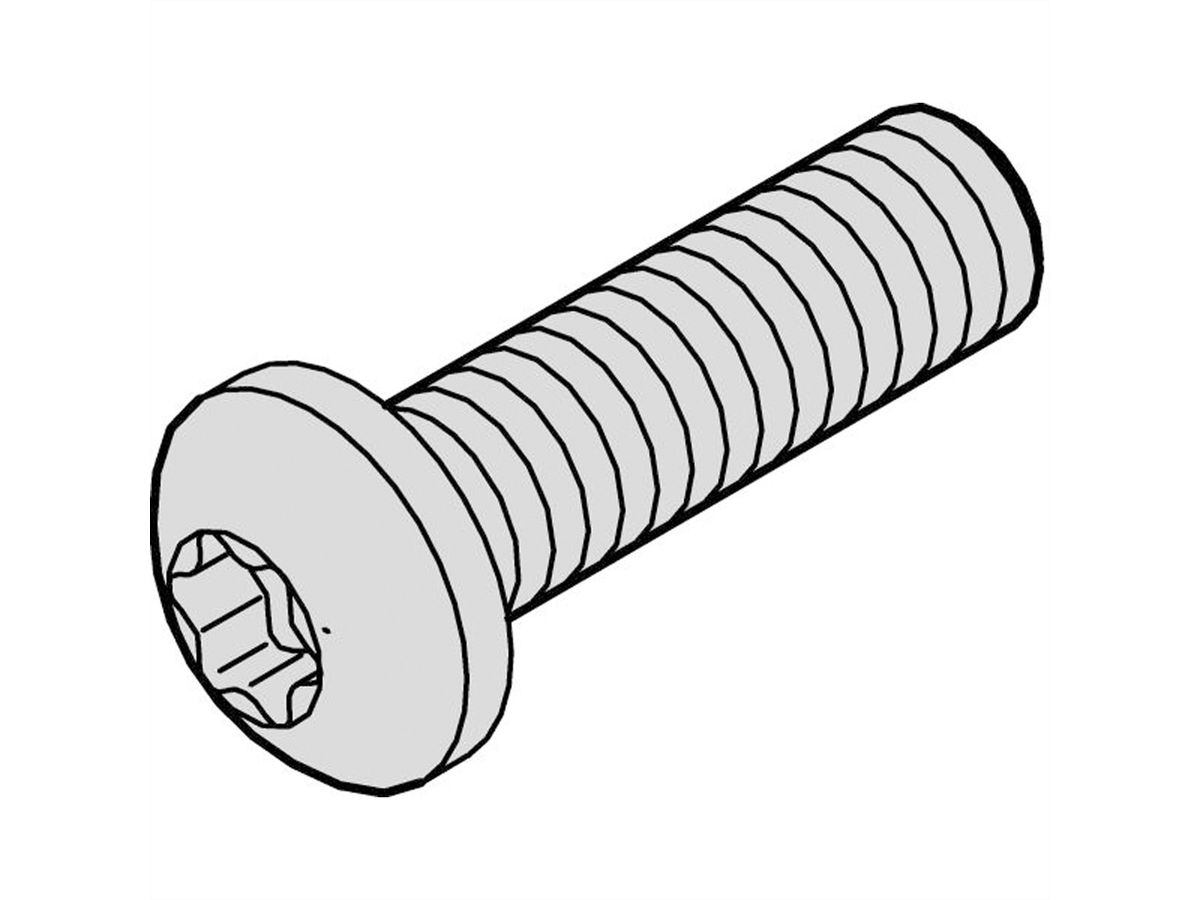 Vis à tête cylindrique de SCHROFF, Torx, fonction GND, acier zingué, M4 × 6 mm, 100 pièces
