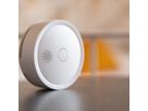 Shelly Rauchmelder PLUS Smoke