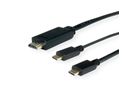 ROLINE Câble adaptateur type C - HDMI + USB C, M/M, 2 m