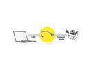 ROLINE Câble adaptateur RJ45 mâle vers bloc terminal, 30 cm