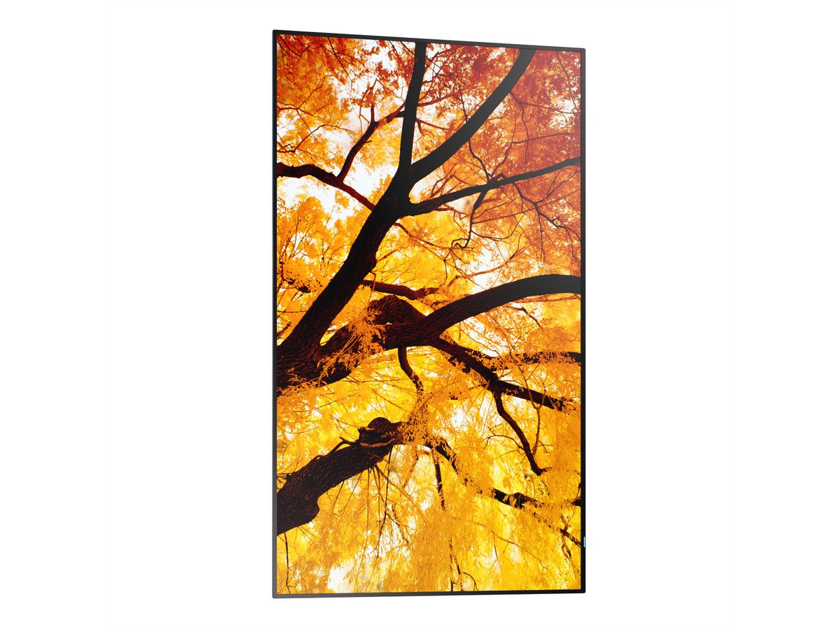 Sharp Signage Display MultiSync M502, 50", UHD, 24/7, 550cd/m²