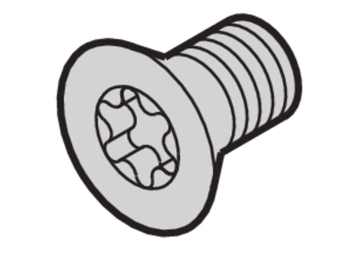 SCHROFF Senkkopfschraube mit Torx - SEKOSCHR-TORX.M4X5 (100STK)