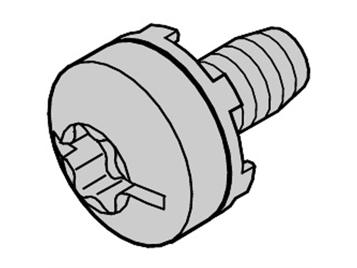 SCHROFF Vis Taptite M6 x 10