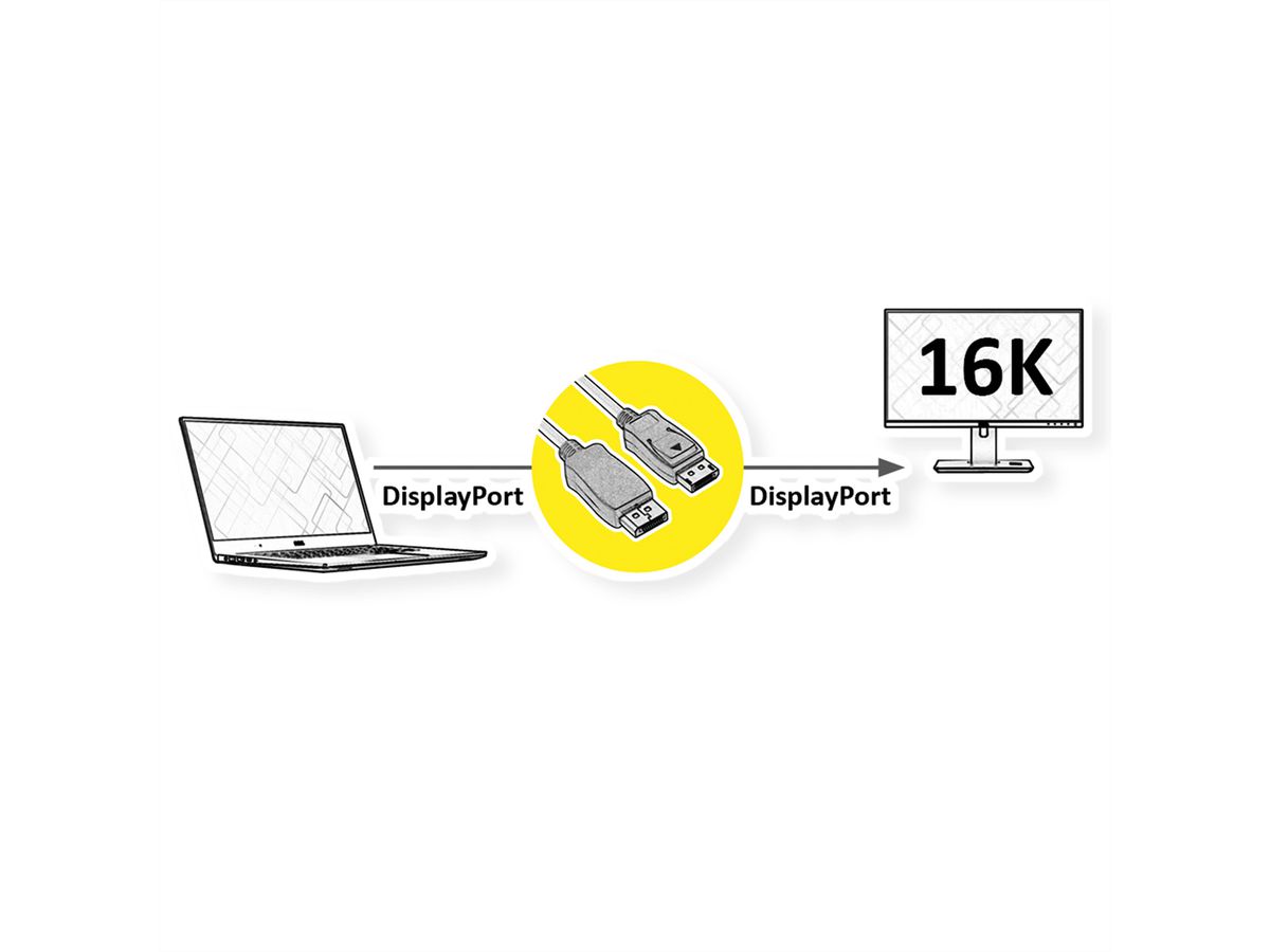 ROLINE Câble DisplayPort v2.1, 16K, DP M - DP M, noir, 1 m