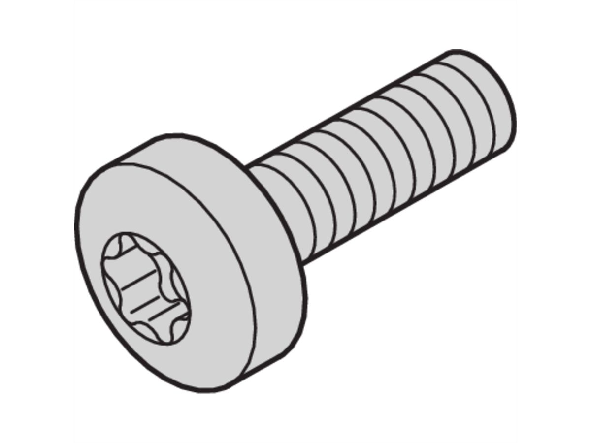 SCHROFF Linsenkopfschraube mit Torx - TORX-LINSKOSCHR 2,5X16 100S