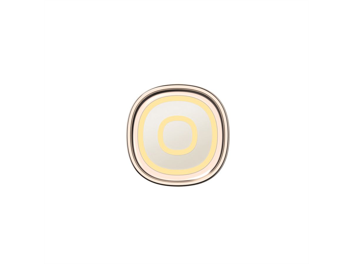 Oclean Zahnbürste X Pro Digital, Elektrisch, gold