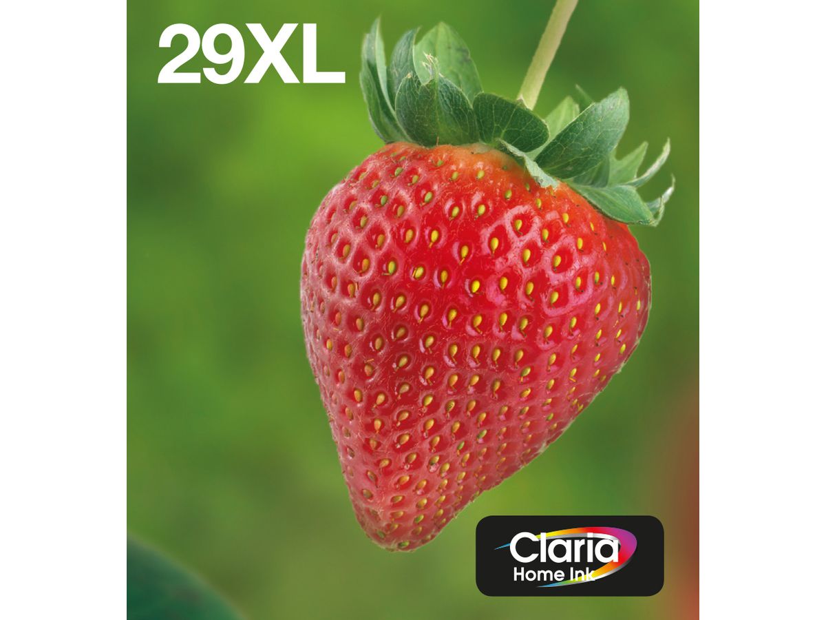 Epson Strawberry Multipack 4-colours 29XL EasyMail