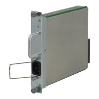 SCHROFF AC/DC, Double Full-size, ohne Management - NETZGERAET MCA 300W AC MS