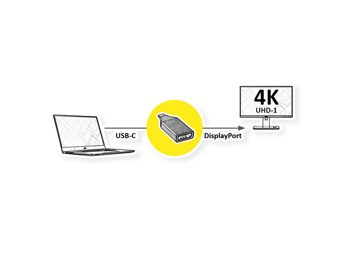 ROLINE Adaptateur Type C - DisplayPort, v1.2, M/F