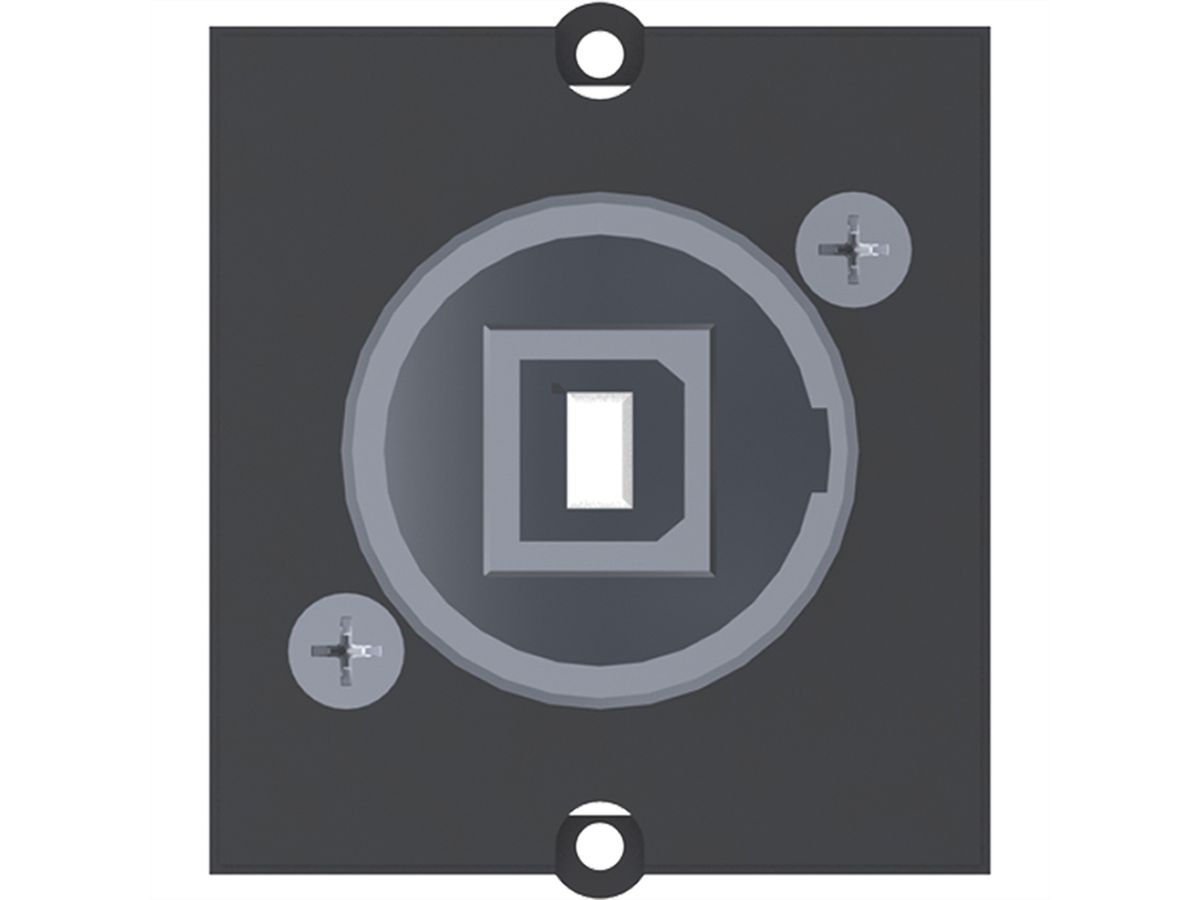 BACHMANN Rahmen 1xUSB 2.0 B/A BCM-9