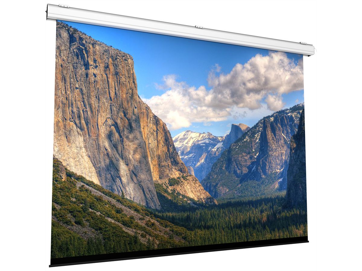 Screenint. MAJOR PRO-C schwarz, 500x500, REARPLUS