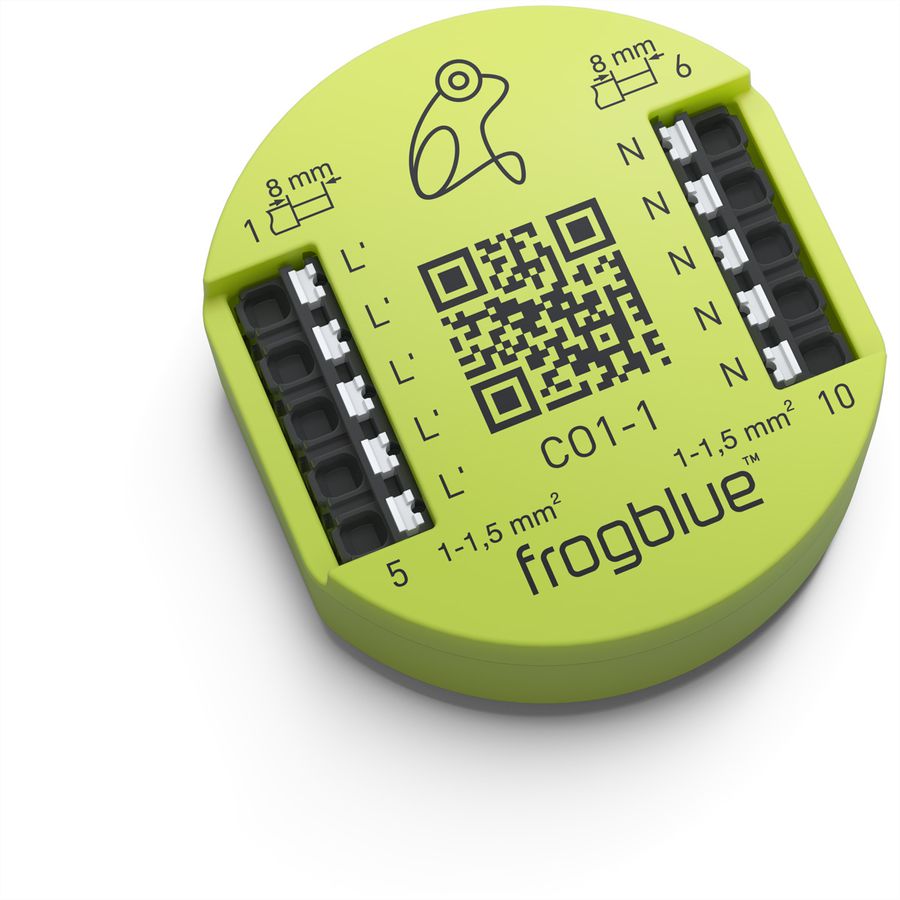 frogblue frogConnect1-1, Ableitung von Leckstrom