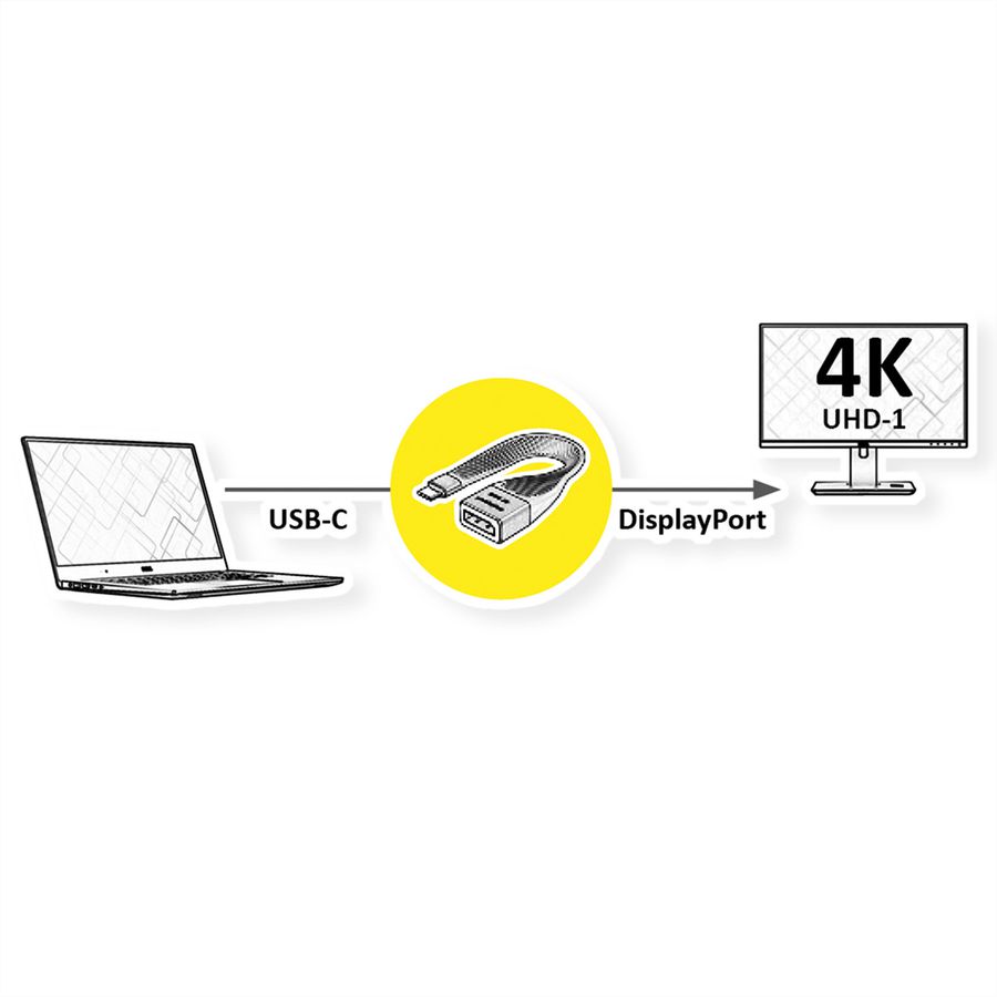ROLINE Display Adapter USB Typ C - DP, ST/BU, 0,13 m