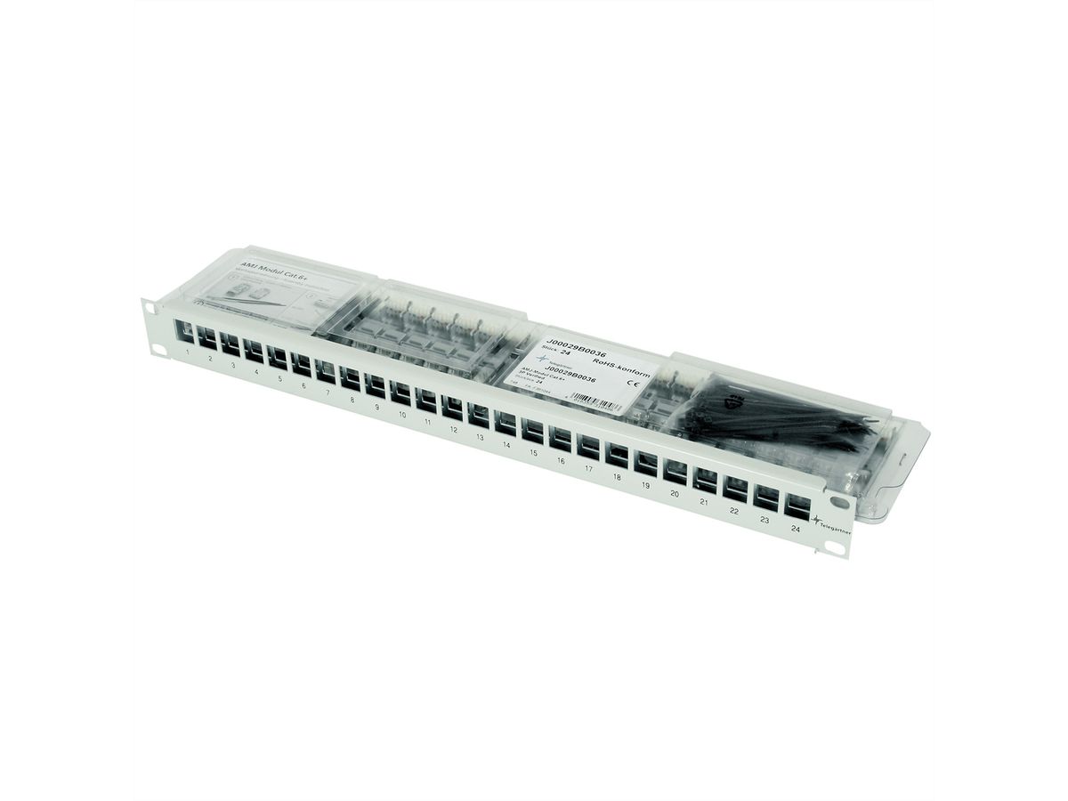 TELEGÄRTNER 19"-Porte modules 1 UH équipé de 24 modules AMJ Cat.6A (Classe EA) (ISO/IEC), gris