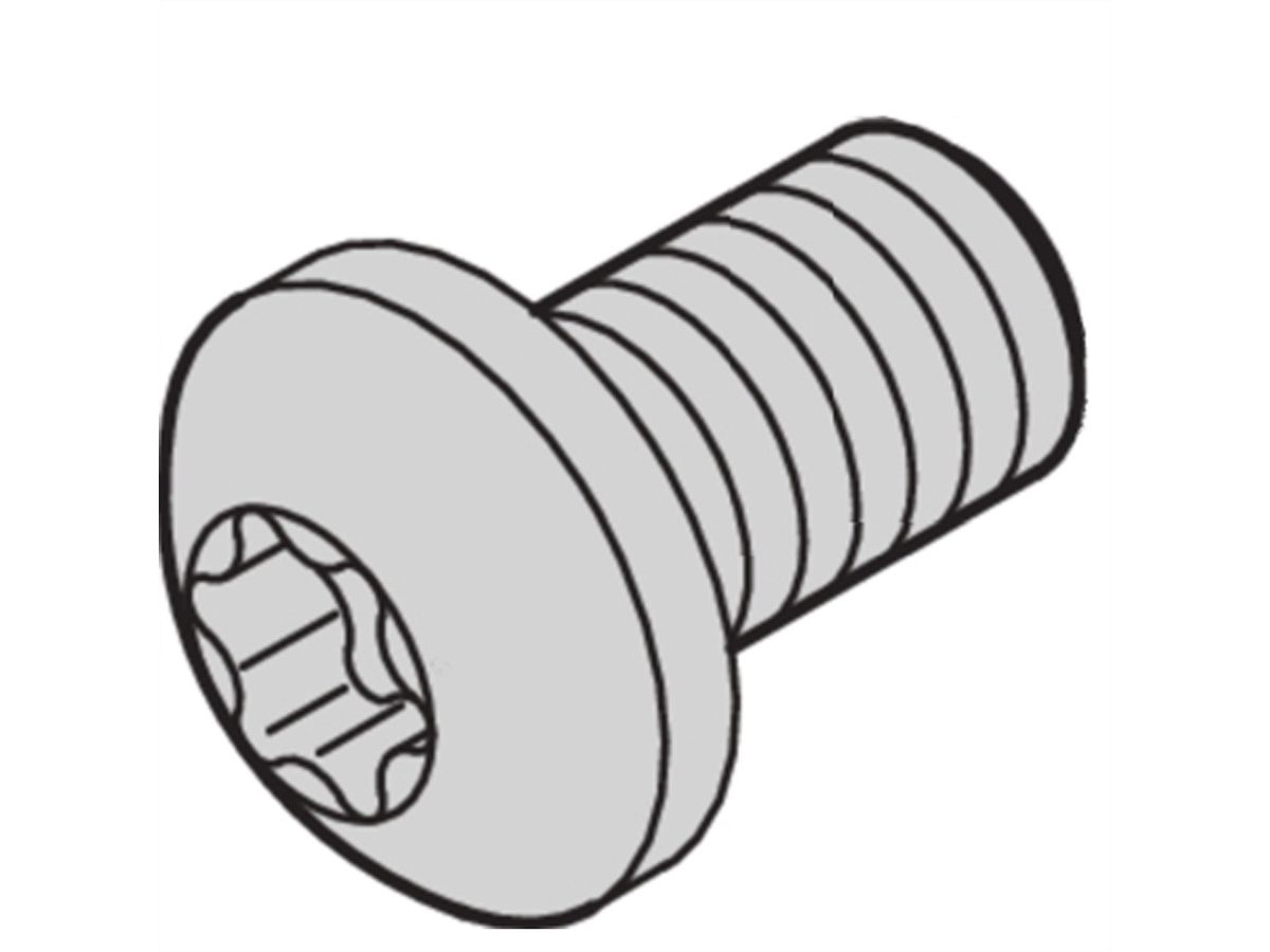 SCHROFF Torx-Linsenkopfschraube - LIKOSR M2.5X6 TORX 100STK