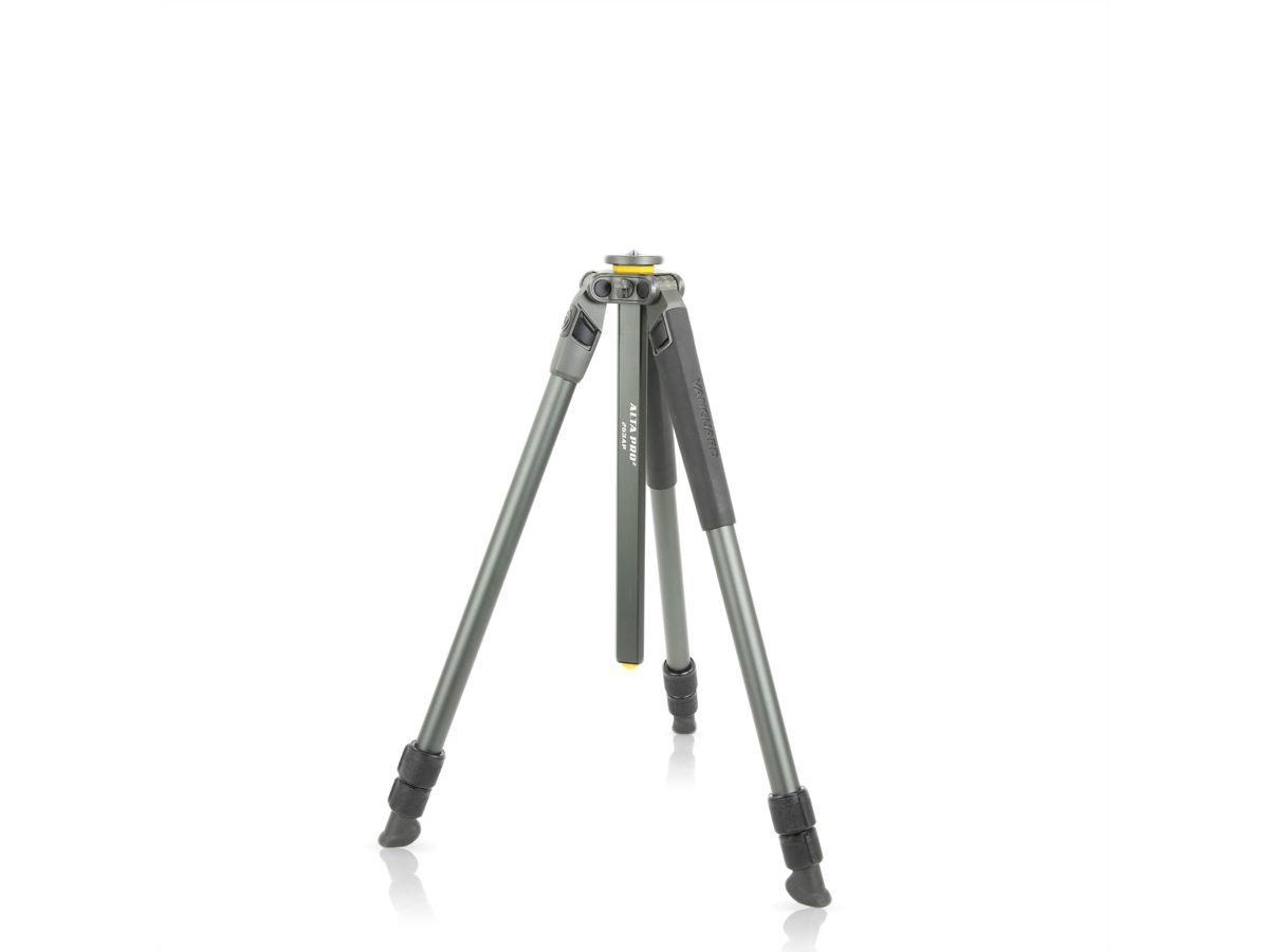 Vanguard Alta Pro 2+ 263CB 100 Stativ, grau