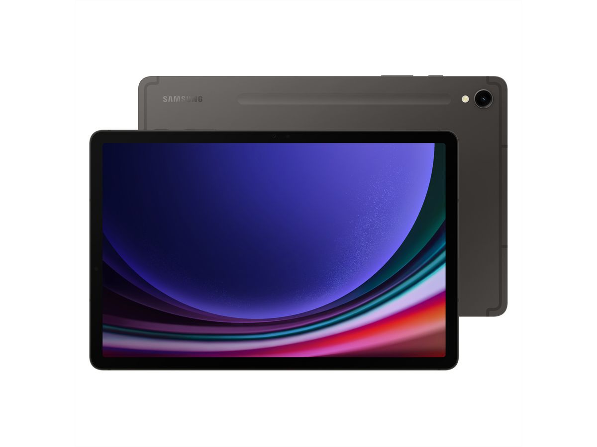 Samsung Galaxy Tab S9, 256 Go, gray, 11'', 5G