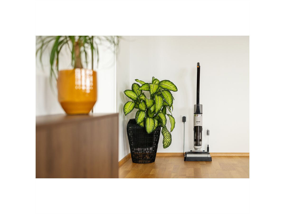 Gorenje Akku Nass und Trockensauger SFC216100G NEOCLEAN, 180W, kabellos