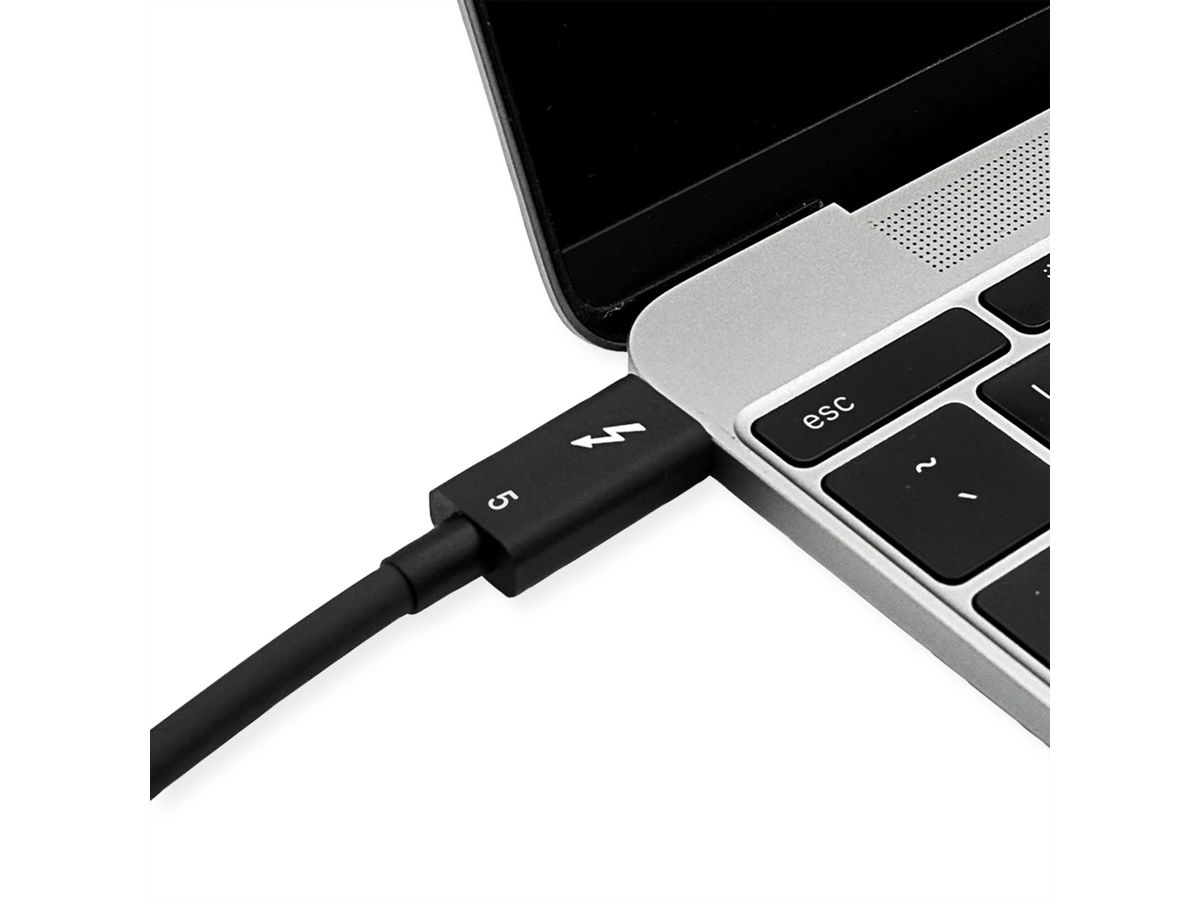 ROLINE Câble Thunderbolt™ 5 USB type C, M/M, 8K UHD-2, 80Gbit/s, 240W, passif, noir, 1 m
