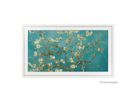 Samsung 43" Hôtel TV Frame, Cadre interchangeable
