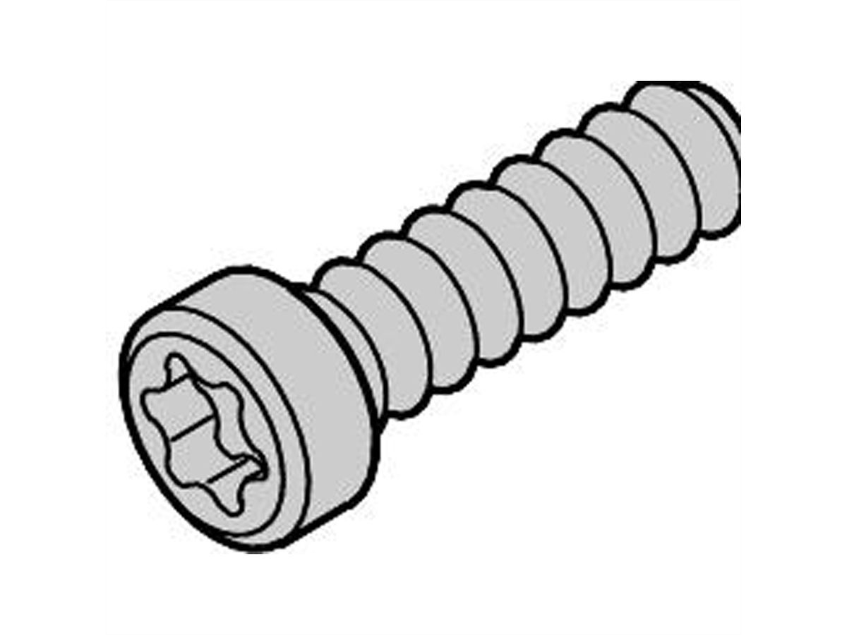 Vis à tête cylindrique de SCHROFF, Torx, autotaraudante, acier zingué, M2.5 x 10