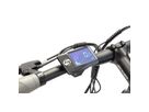 Argento E-Bike Performance