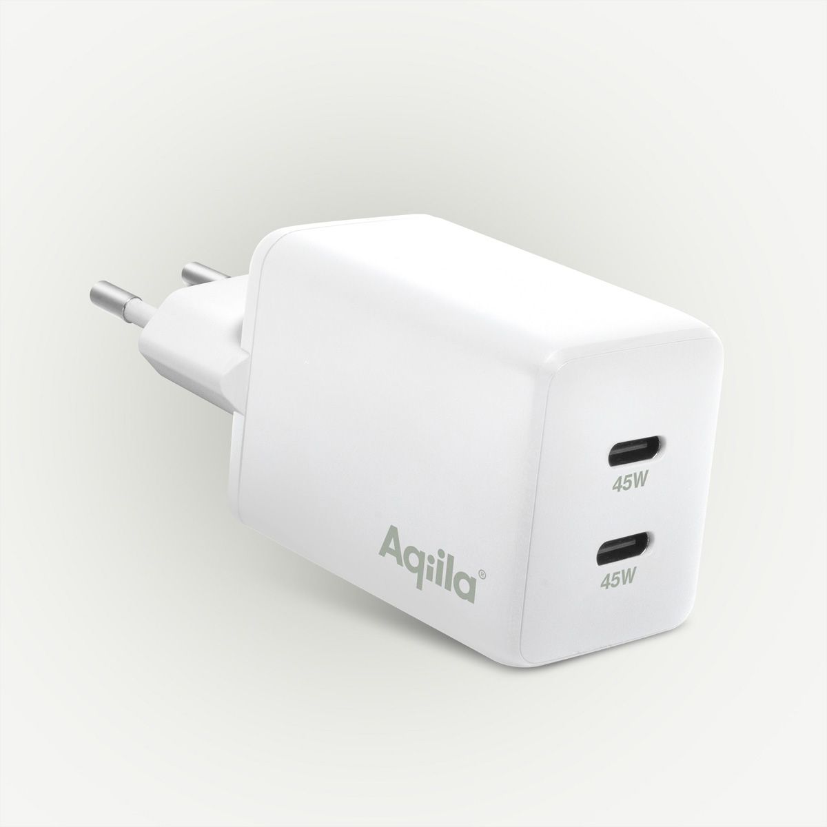 Aqiila Solarpanel Sunbird P100, Panneau solaire 100W