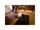 Roborock Aspirateur Qrevo S ProX noir, Robot aspirateur/balayeur