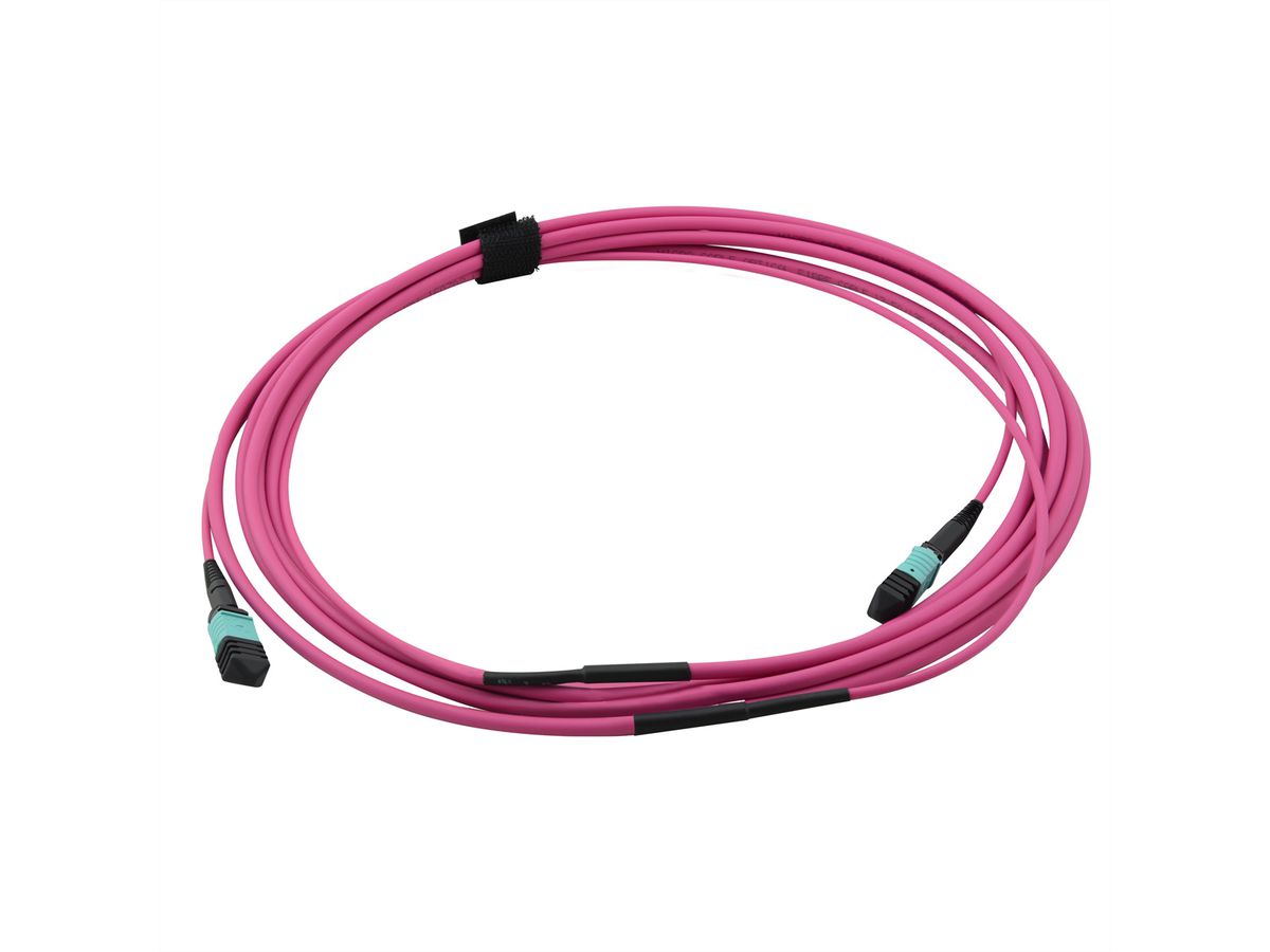 VALUE MPO-Trunk-Kabel 50/125µm OM4, MPO/MPO, TYPE A, violett, 3 m
