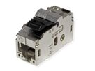 BACHMANN Keystone CAT6 Klasse Ea STP Kupplung RJ45 geschirmt 10GBit, silberfarben
