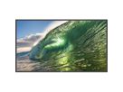 Philips Signage Display 55BDL3650QE/00 , 55", UHD, 18/7, 350cd/m², Android