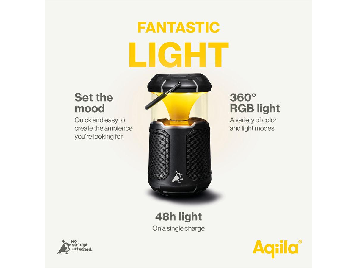Aqiila Ladeadapter CC2  , 12V KFZ Ladestecker /  32W USB-C & USB-A