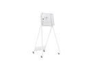 Samsung Flip Standfuss 55"