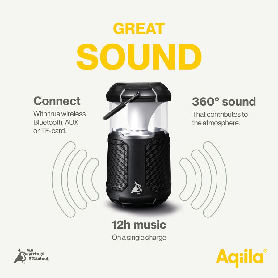 Aqiila Adaptateur de charge CC2, Prise de charge 12V pour voiture /  32W USB-C & USB-A