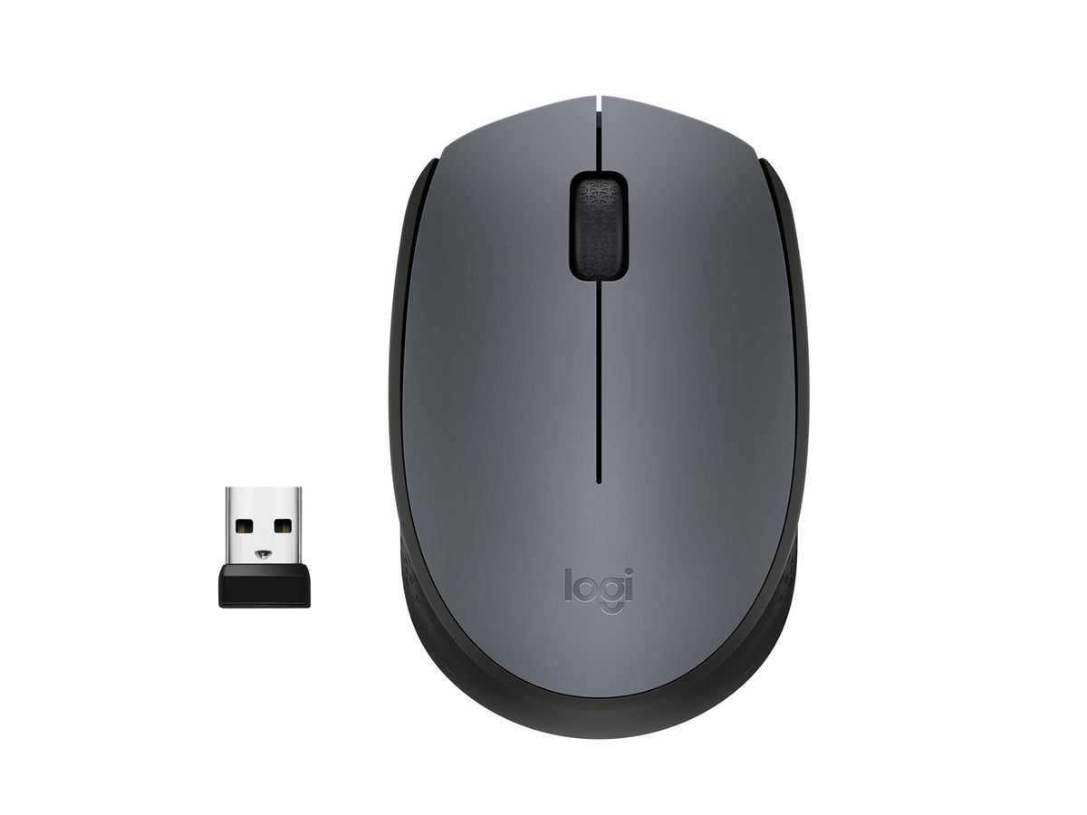 LOGITECH M170 souris sans fil gris