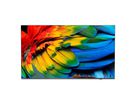 Philips Hotel TV 50HFL6214U/12, 50", UHD, 400cd/m², Netflix