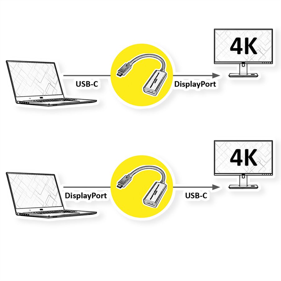 ROLINE Kabel-Adapter USB-C - DisplayPort, v1.2, bidirektional, ST/BU, 0,2 m
