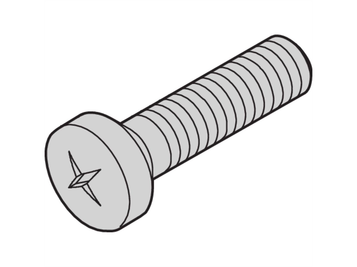 SCHROFF Linsenkopfschraube M5 x 10 - FLAKOSCHR.M5X10 ISO7045 100X