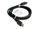 ROLINE GREEN Câble DisplayPort v1.4, DP M - DP M, noir, 3 m