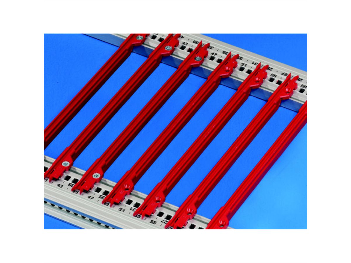 Guide-cartes SCHROFF, 4.4" type PCB, plastique, 220 mm, largeur de rainure 2 mm, rouge, 50 pièces