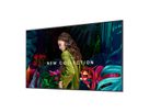 Samsung Digital Signage Display QB65C, 65'', 16/7 UHD, 350cd/m²