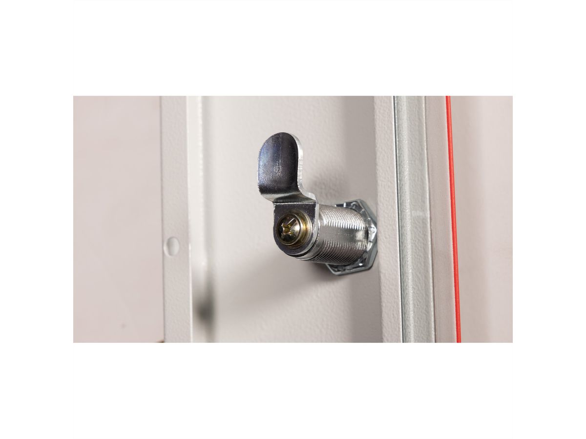 ROLINE 19" Boîtier mural Basic Plus 15U, 600x450 LxP gris