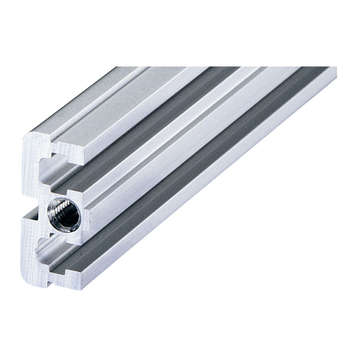 SCHROFF Modulschiene mitte, Typ ST - MODULSCH. MITTE 40TE ST